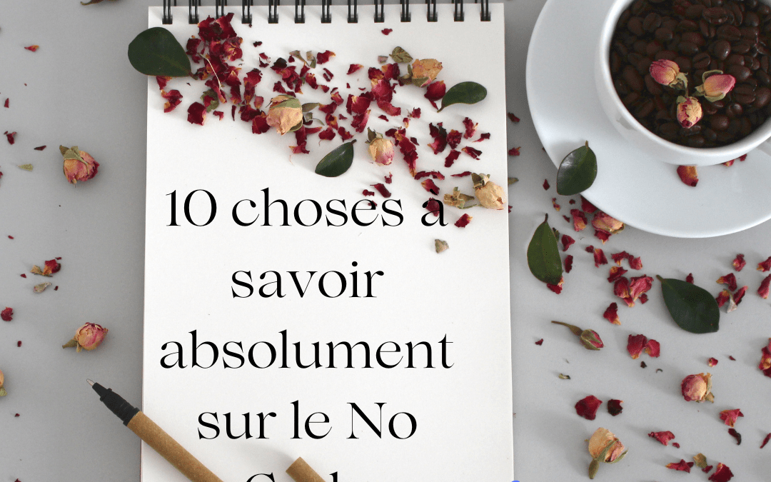 10 choses à savoir absolument sur le No Code